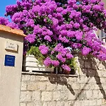 アパート Award Winning Garden With Large Terrace And Amazing Seaview *