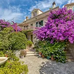 Award Winning Garden With Large Terrace And Amazing Seaview アパート *