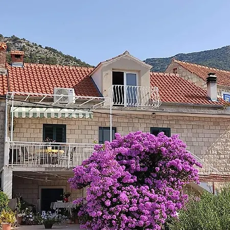 Award Winning Garden With Large Terrace And Amazing Seaview Διαμέρισμα
