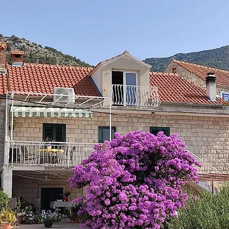 Award Winning Garden With Large Terrace And Amazing Seaview Apartment