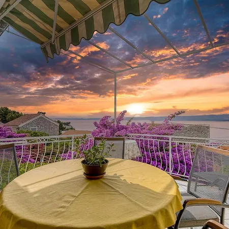 Apartment Award Winning Garden With Large Terrace And Amazing Seaview