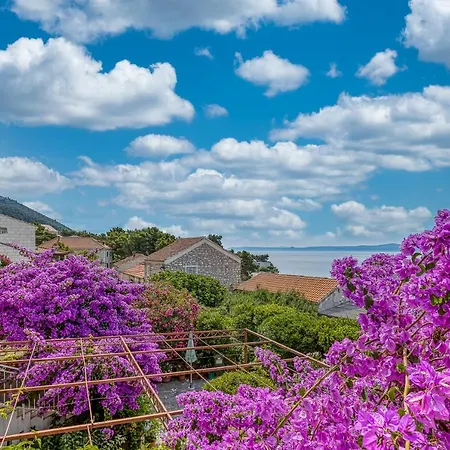 Award Winning Garden With Large Terrace And Amazing Seaview * Μπολ